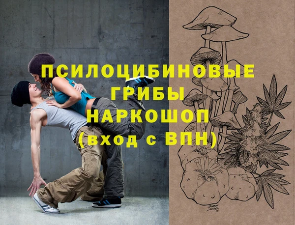 МДПВ Алексин
